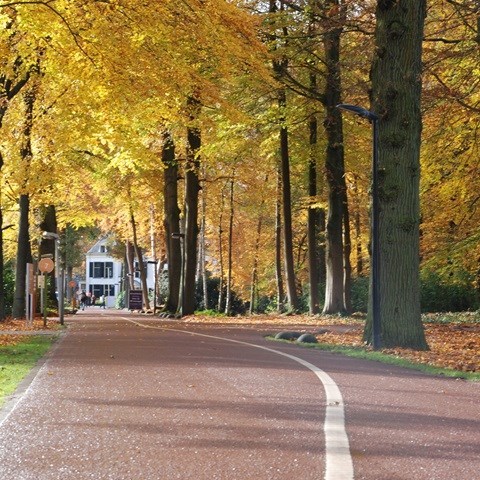 De Baak training and knowledge institute