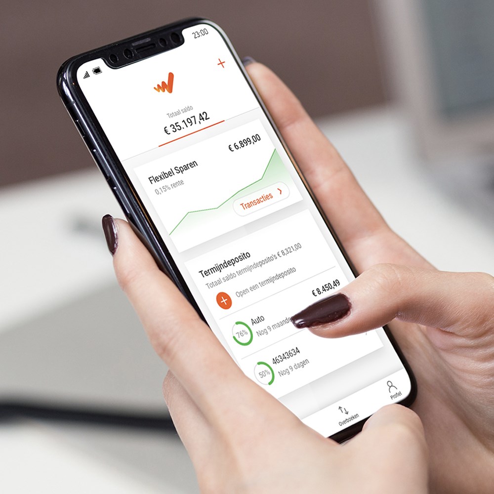 LeasePlan Bank App.