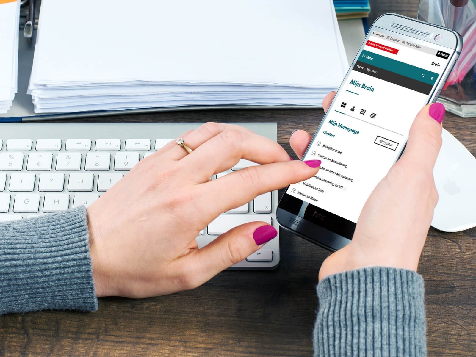 Province of Noord-Brabant example website on mobile