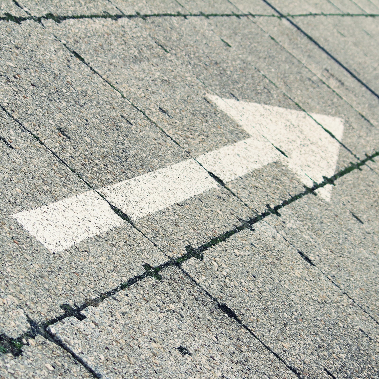 Province of Noord-Brabant arrow