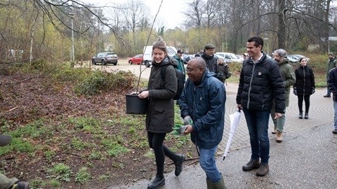 Iquality planting trees.