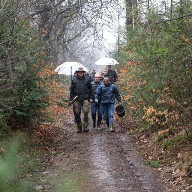 Iquality planting trees.