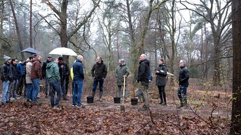 Iquality planting trees.