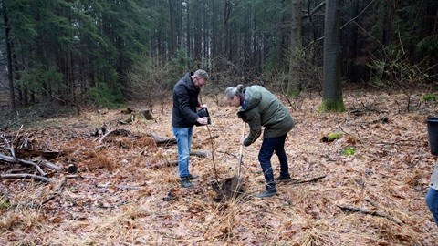 Iquality plants trees.