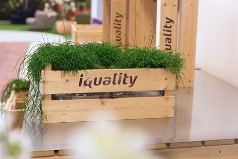 Iquality office.