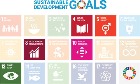 Poster sustainability goals 2021.